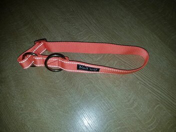 Black Wolf kennelhalsband 