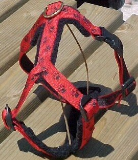 Kiwaq 'verstelbaar' harnas 20mm