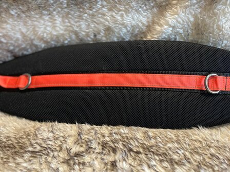 Kiwaq Belt large