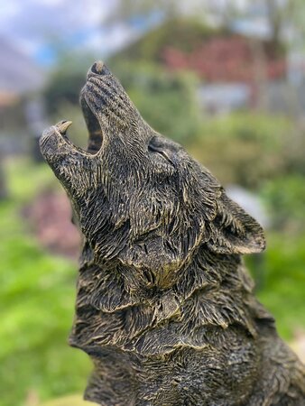 Tuinbeeld Huilende Wolf - Brons en Goud
