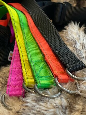 Kiwaq Halsband met click 30mm