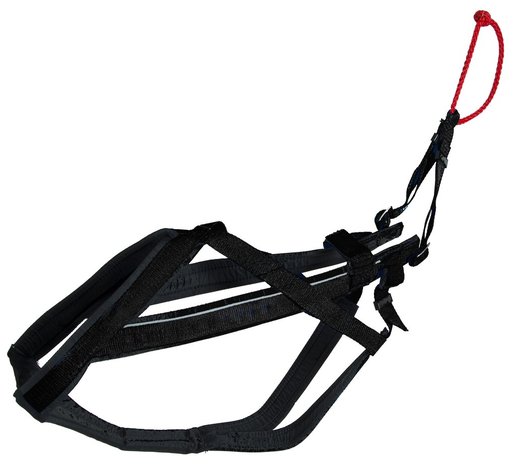 NEEWA - Adjustable Racing Harness