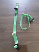 Black Wolf halsband met click