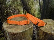 Kiwaq Kennelhalsbanden 25mm - Oranje